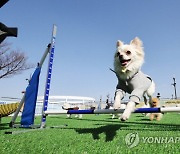 선천적질병 등 의료비 제외… 펫보험 보상 범위 확인해야