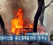 보령 요암동서 산불…홍성 홍북읍 화재 1명 부상