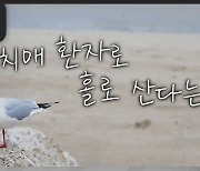 [더 보다] 치매 환자로 홀로 산다는 것