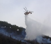 주말 건조한 날씨 속 전국 곳곳서 산불…전북서는 사찰 화재