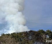홍천 사유림 산불…1시간 30여분 만에 진화