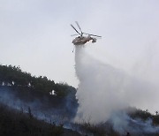 제주도 뺀 전국 곳곳서 산불…위기경보 '경계' 발령