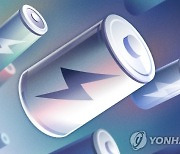 ‘미워도 다시 한번’···개미들, 2차전지·은행 ETF엔 물탔다