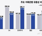 저축은행 돈 남아도는데...대출할 곳이 없다