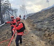 강원 홍천 내촌면 야산서 산불…1시간 30분 만에 진화