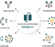 와이바이오로직스, 항DLK1 항체 중국 특허등록