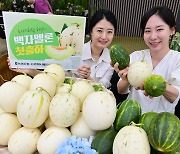 달콤한 백자·파파야 멜론 맛보세요