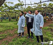 전북농협, 과수 저온피해 대응상황 점검나서