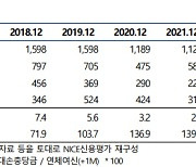 나신평, 페퍼저축은행 신용등급 ‘BBB-’로 하향