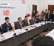 국민의힘, 다시 '비대위' 체제로‥김경율, 홍준표에 '개' 빗대 직격