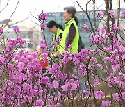 “바쁜 일상 속에서 여유를”…도심 속 휴식 찾는 시민들