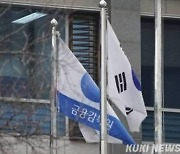 보험범죄 효율적으로 잡는다…금감원, 경찰과 협의회 개최