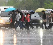 [포토뉴스] 건조주의보 해제, 전국에 내리는 단비