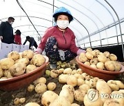 춘향제 때 '남원 농특산물축제' 병행…60개 판매 부스 설치