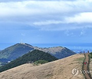 세찬 바람 불어도 오름이 좋아