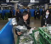 농식품부-식약처, '농산물 안전' 합동조사단 구성