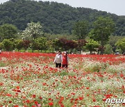 "울산광역시, 무장애 관광지로"…3년간 최대 40억 원 투입