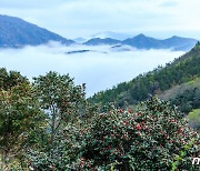 산림·갯벌의 보고 장흥군…중앙과학관, 생태계 공동연구 추진