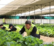 윤해진 대표 “농협생명의 뿌리는 농업·농촌”…‘2024 농촌일손돕기’ 시작