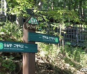 서울시 유일 편백숲 무장애길, 2026년까지 9.8㎞로 확대 조성
