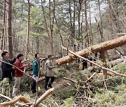 산림청, 울진금강소나무숲 폭설 피해 복구 현장토론