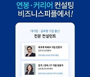 비즈니스피플, 연봉과 커리어 컨설팅 시작