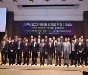 "한국 AI법, 자율규제 중심으로 만들어져야…빠른 법 통과 필요"