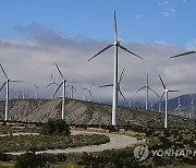 Global Wind Growth