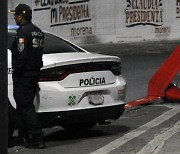 "관광헬기 추락, 사망자들 한국인" 멕시코 매체들 오보 혼선