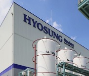 Nine bidders shortlisted for Hyosung Chemical’s specialty gas asset