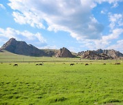 승우여행사, 몽골 테를지 초원길 4박 5일과 고비사막 6박 7일 트레킹 여행 선봬