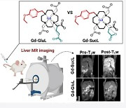 팜젠사이언스, 세계 최초 거대고리형 MRI 간특이 조영제 신약 일본 특허 등록