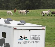 [오늘의 주요 일정] 제주(18일, 목)…황사 영향 미세먼지 '나쁨'