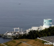 시코쿠 전력의 이카타 원전