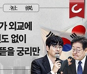 [사설] 어려운 국가 외교에 한 줌 고민도 없이 오로지 헐뜯을 궁리만