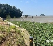 경기도, 경기만 연안 공유수면 무단점용 실태조사