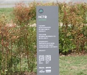 NCT·TXT 숲 가자…멜론 '숲;트리밍', K팝 선한 영향력의 장