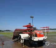 '오대쌀의 고향' 철원군, 이번 주말 첫 모내기 시작