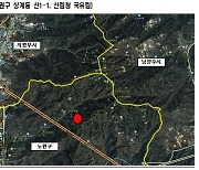 서울 노원구 수락산서 소나무재선충병 발생…긴급 방제