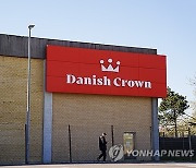 DENMARK BUSINESS DANISH CROWN
