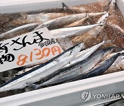 북태평양 꽁치 어획량 상한 10% 줄인다…한중일 등 합의