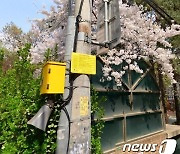 "쓰레기 투기 꼼짝마"…성동구, CCTV 9대·로고젝터 3대 추가
