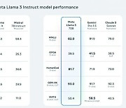 메타, 오픈소스 모델 '라마3' 출시…페북-인스타 등에 적용