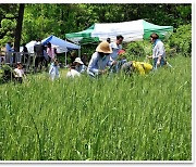 ‘백남기 농민’ 생명·평화 정신…5월의 밀밭에서 나눈다
