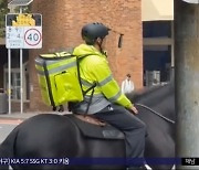 [이 시각 세계] 호주에서 말 타고 배달하다가‥결국 '배달 금지' 조치