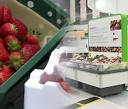 “최고 K푸드 찾아라” 농식품 수출 상담 성황