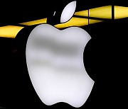 애플, 빠르면 5월부터 유럽에서 애플페이 외 다른 결제 방식 허용