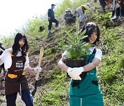 한화, 울진 산불 동식물 서식지 복원 위해 ‘태양의 숲’ 조성 나선다