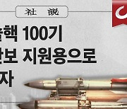 [사설] “미 전술핵 100기 한국 안보 지원용으로 지정하자”