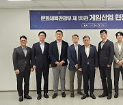 문체부, 게임 업체 7곳과 간담회… "콘솔·인디게임 지원"
